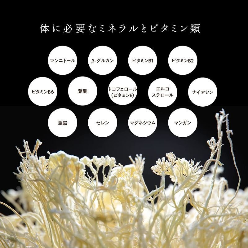 天虫花草 箱 30包 錠剤 | 第一工業製薬 ライフサイエンス
