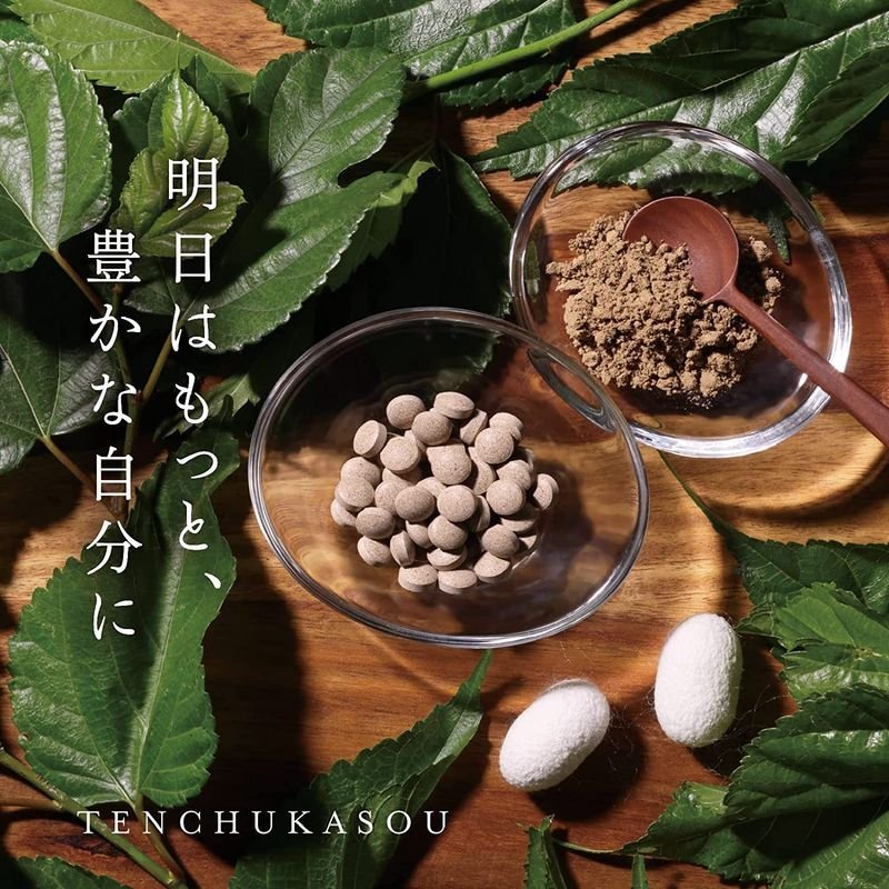 天虫花草 箱 30包 錠剤 | 第一工業製薬 ライフサイエンス